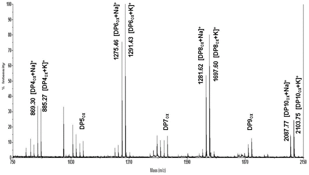 Oxidation hydrolase gene BtLPMO10A and oxidation hydrolase and application