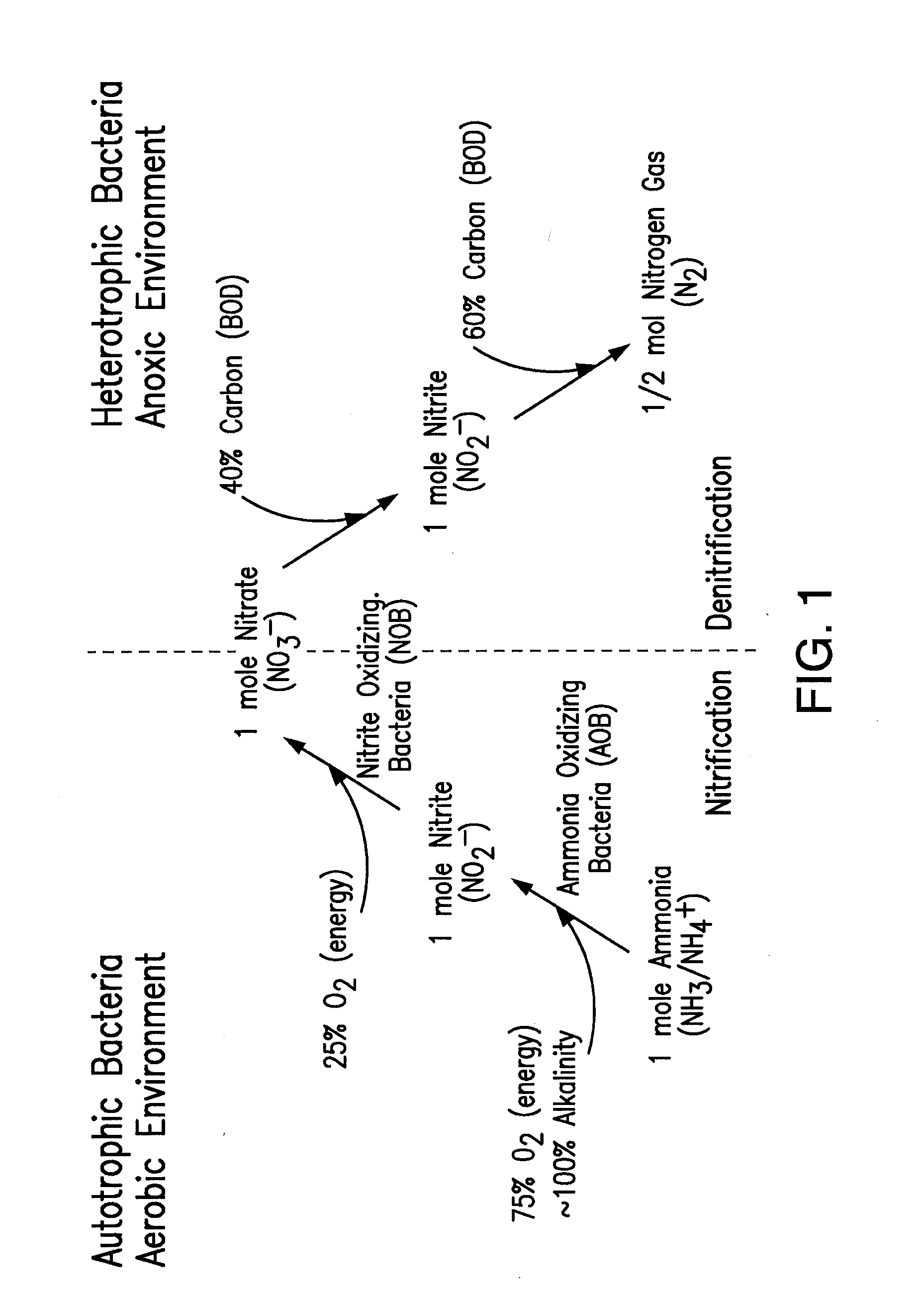 Method and apparatus for nitrogen removal in wastewater