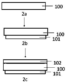 OLED device containing light extraction film adhesion promotion layer