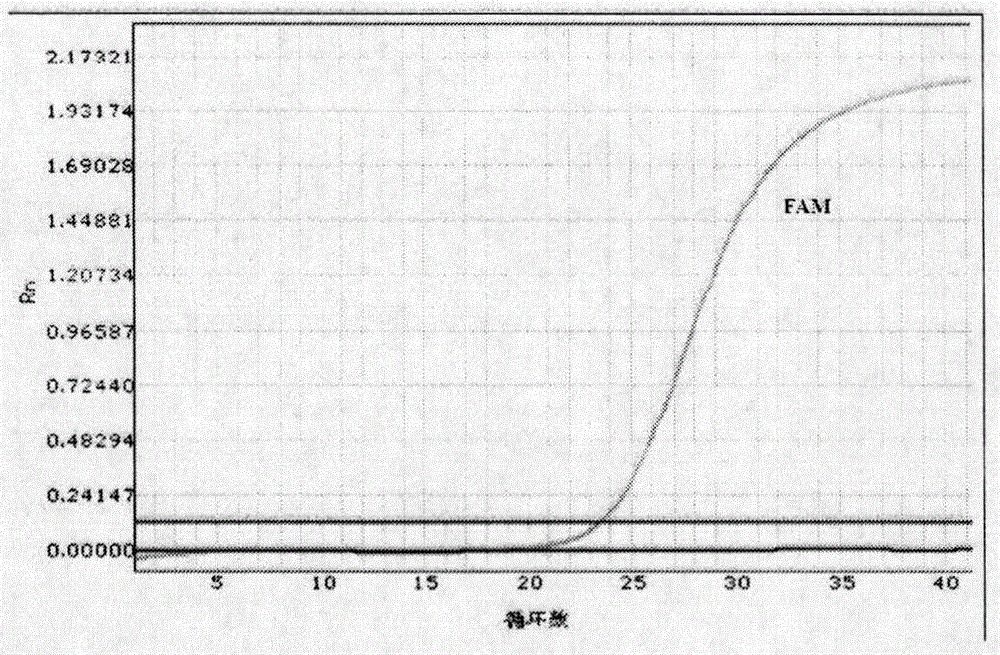 Kit for detecting polymorphism of human ABCB1 gene and application thereof