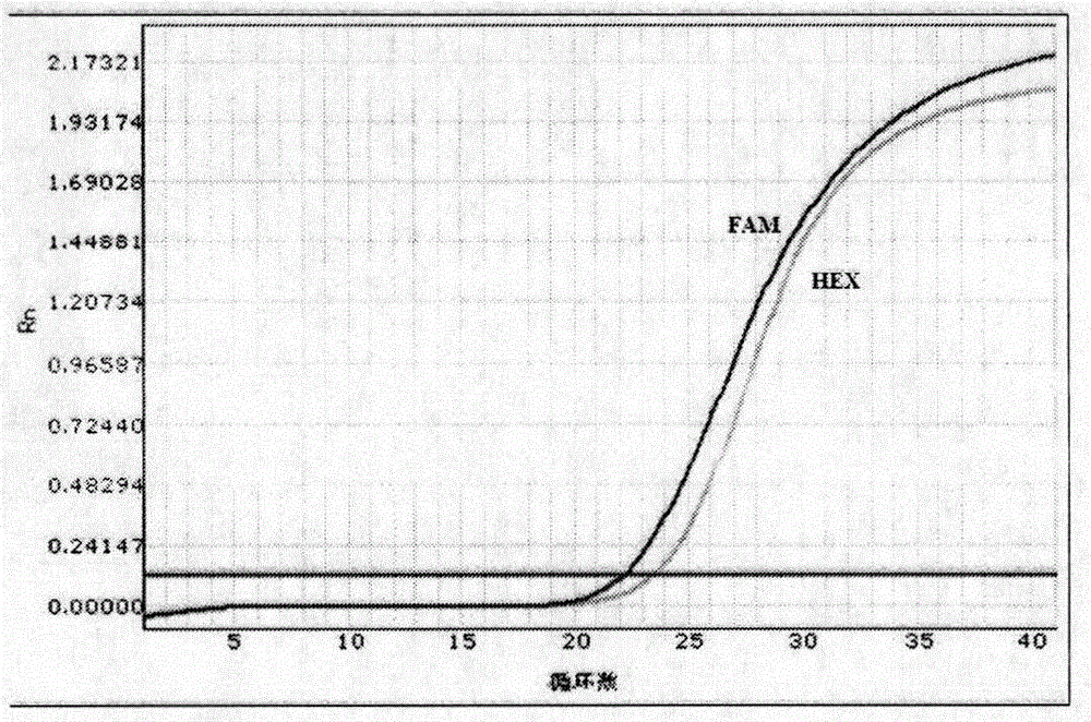 Kit for detecting polymorphism of human ABCB1 gene and application thereof