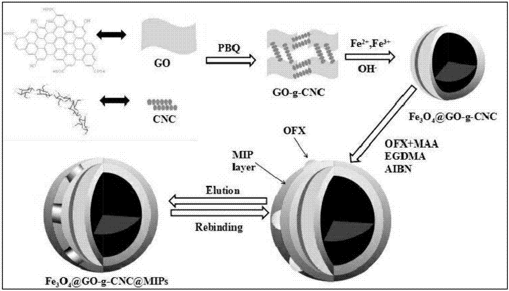 Magnetic nano-crystal cellulose grafted graphene oxide surface molecularly imprinted polymer