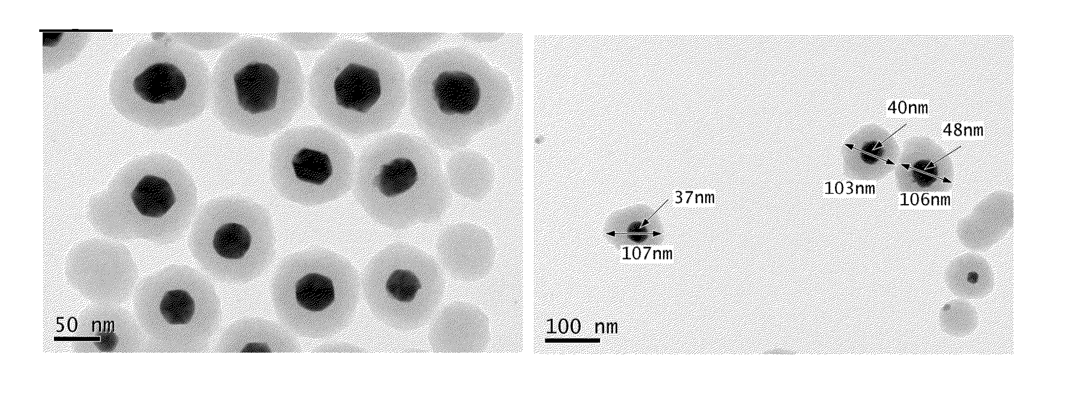 Heteronuclear radioisotope nanoparticle of core-shell structure and preparation method thereof