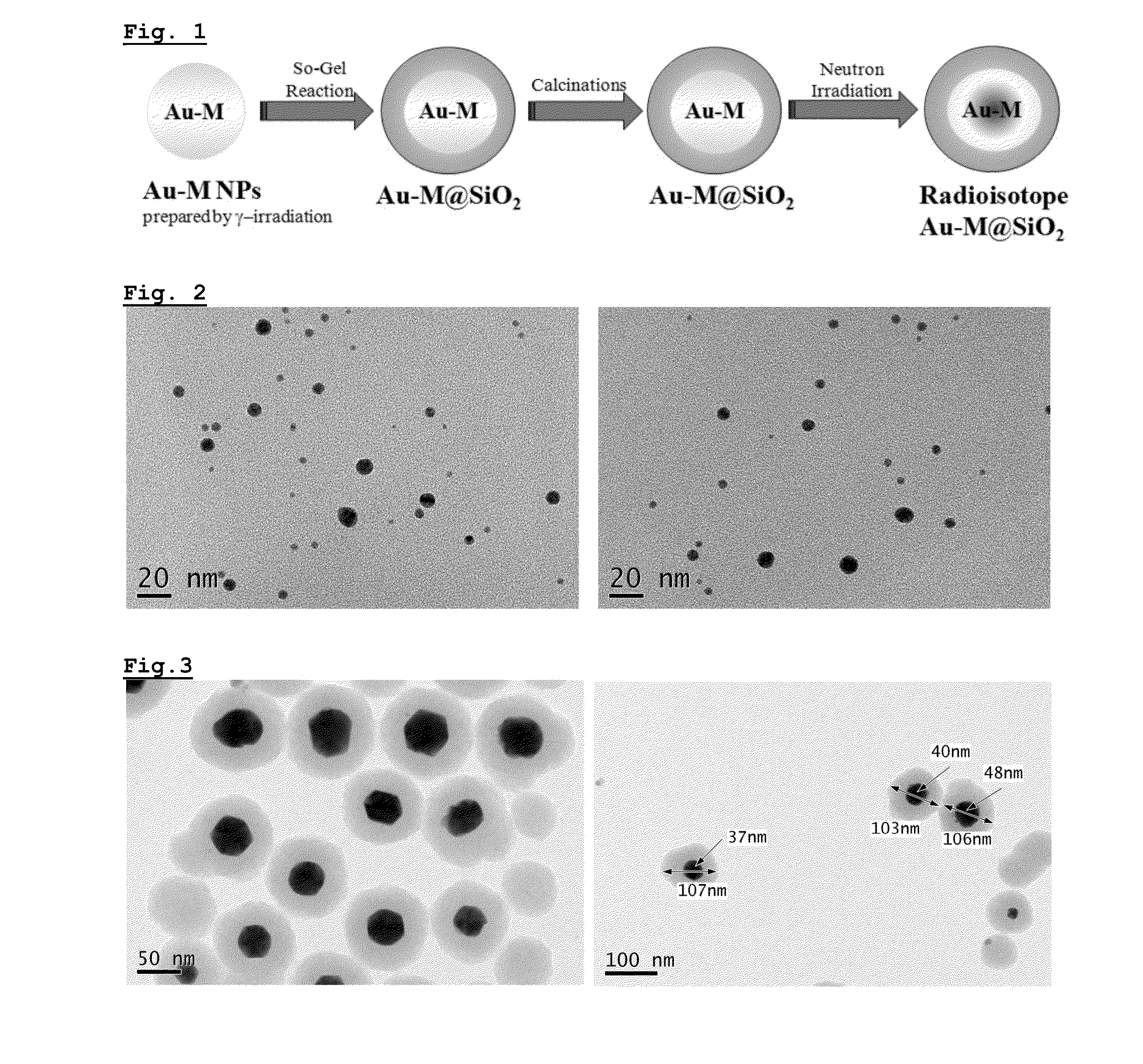 Heteronuclear radioisotope nanoparticle of core-shell structure and preparation method thereof