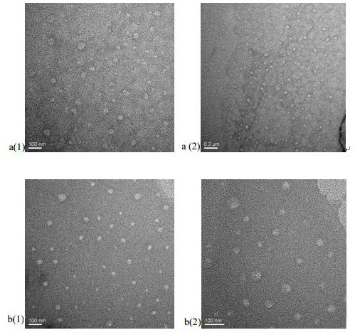 PEGylated heparin nano-micelle for loading carboxylic acid anti-tumor drug and preparation method of PEGylated heparin nano-micelle