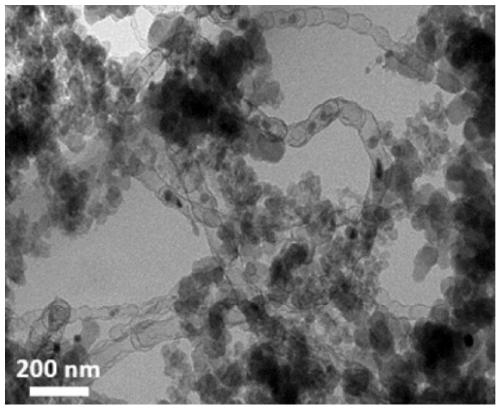 A kind of carbon template induces Fe-N growth to prepare the method of carbon catalyst and carbon catalyst