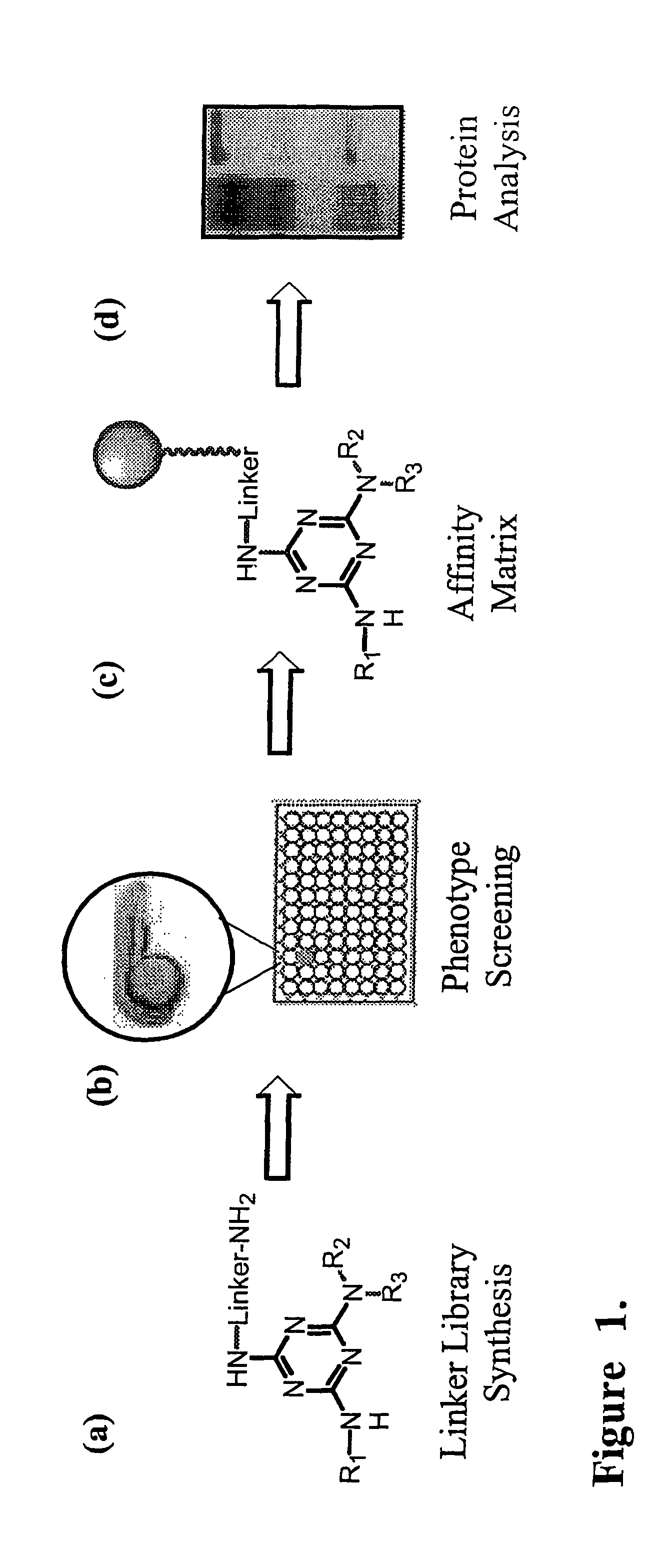 Facilitated forward chemical genetics using tagged triazine library