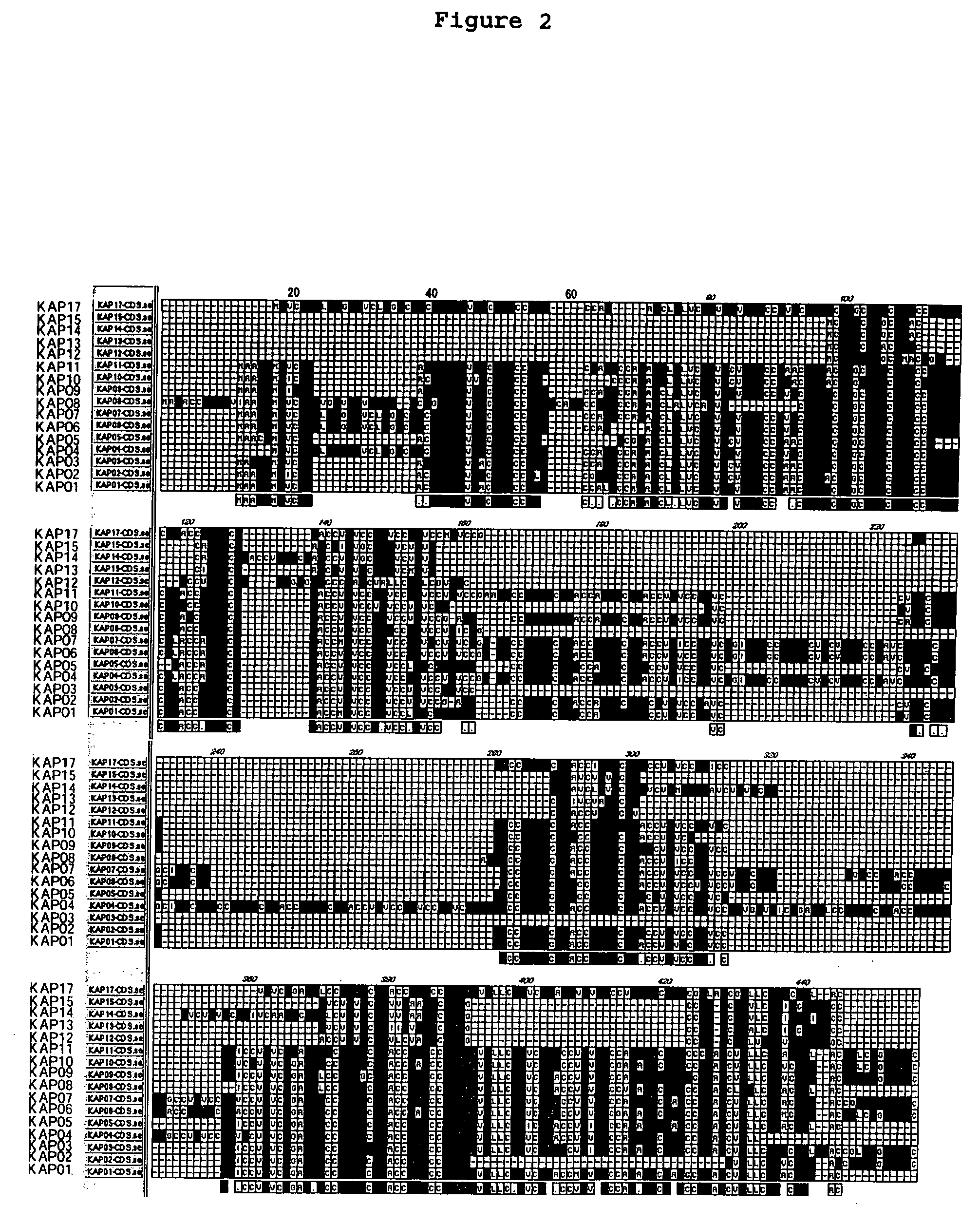 Hair keratin-associated proteins