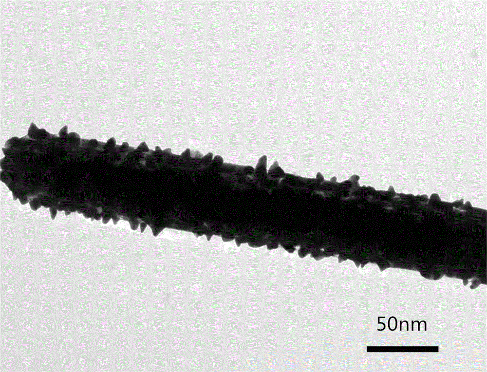 A Synthesis Method of Cable Type Silver Chloride Coated Copper Nanostructure