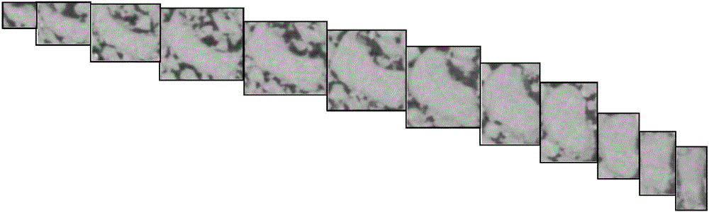 Building method of discrete element module of true aggregate particles based on X-ray CT image