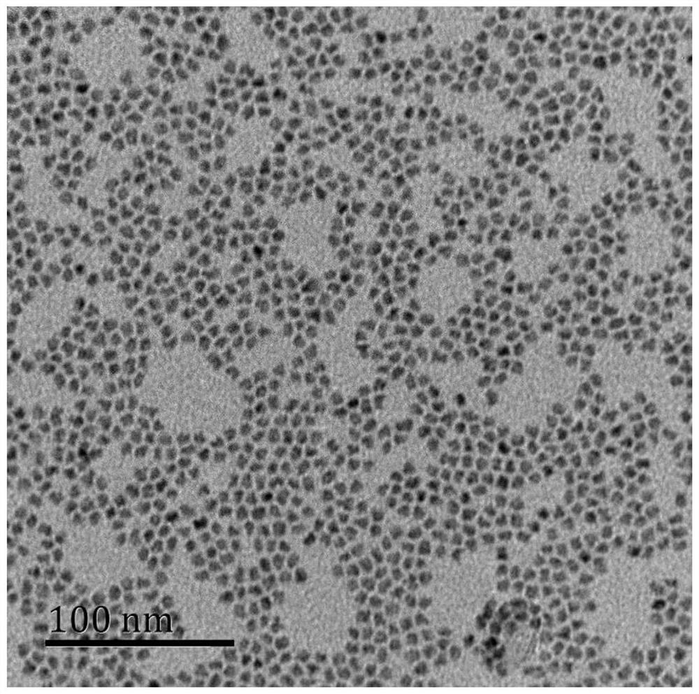 Preparation method of inp-based alloy quantum dot, quantum dot, device and composition