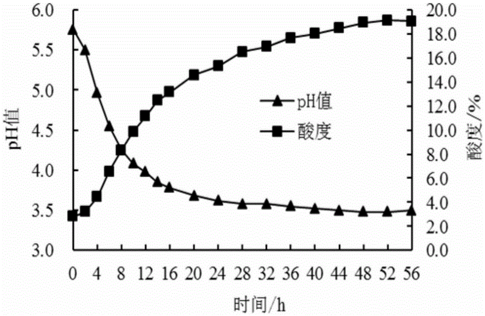 Lactobacillus paracasei with antioxidant activity and application thereof