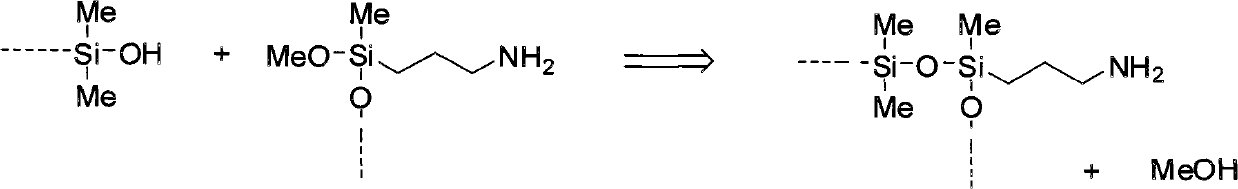 Process for the preparation of amine-amide-functional siloxanes