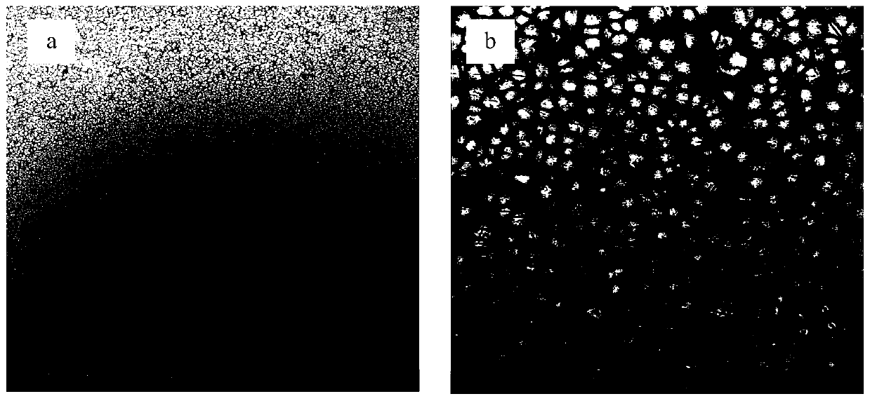 Method for preparing corrosion-resistant super hydrophobic membrane layer on surface of aluminum alloy