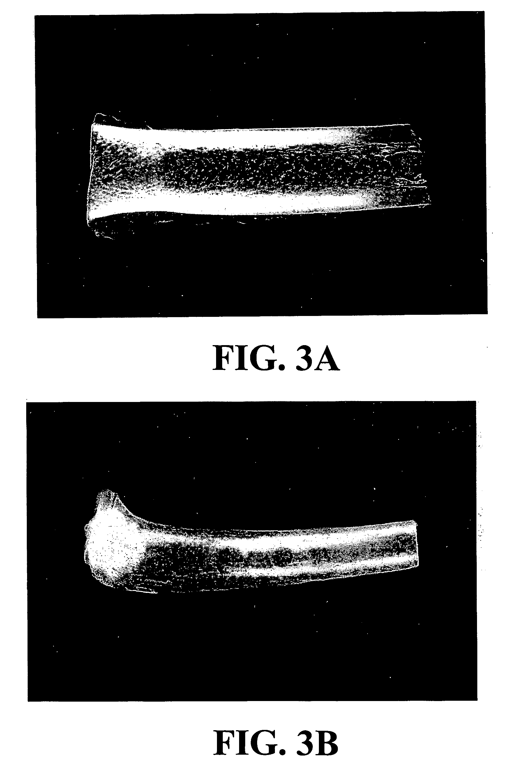 Compositions having improved osteogenesis and methods for making and using same