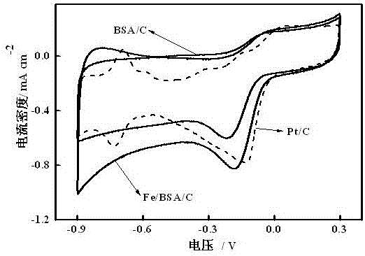 Fuel cell oxygen-reduction catalyst taking protein as raw material and preparation method of fuel cell oxygen-reduction catalyst