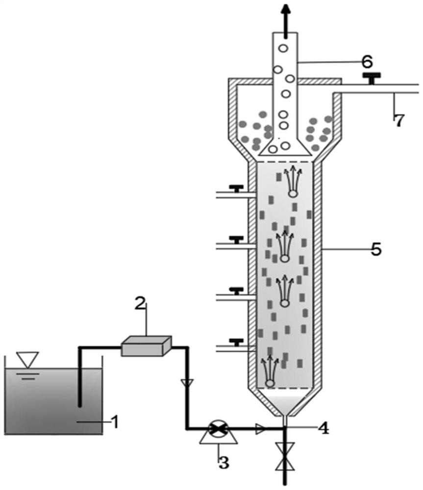 A method for cultivating anaerobic ammonium oxidation granular sludge resistant to low doses of fulvic acid