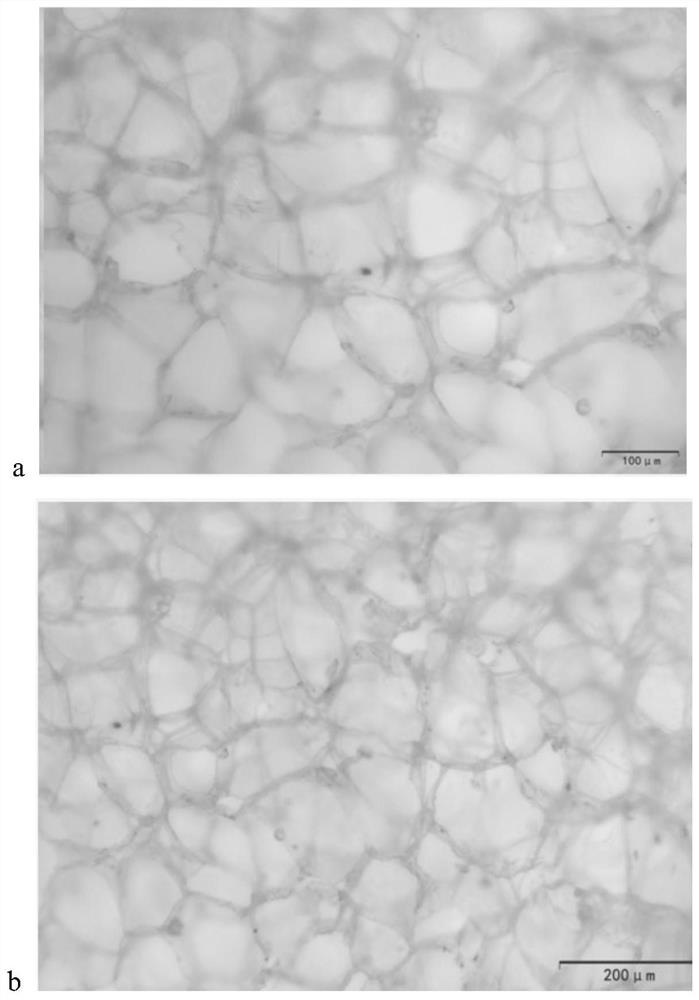 A kind of biodegradable composite bead foam material and preparation method thereof for packaging field