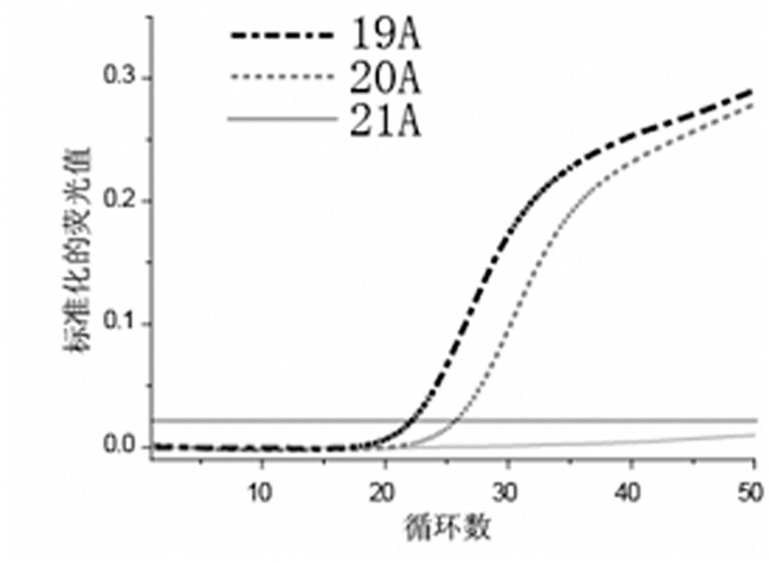 Real-time fluorescent PCR (polymerase chain reaction) method and application