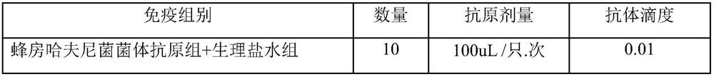 Anti-Hafnia alvei egg yolk antibody and preparation method and application thereof