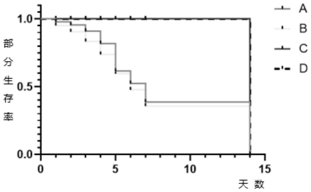 Anti-Hafnia alvei egg yolk antibody and preparation method and application thereof