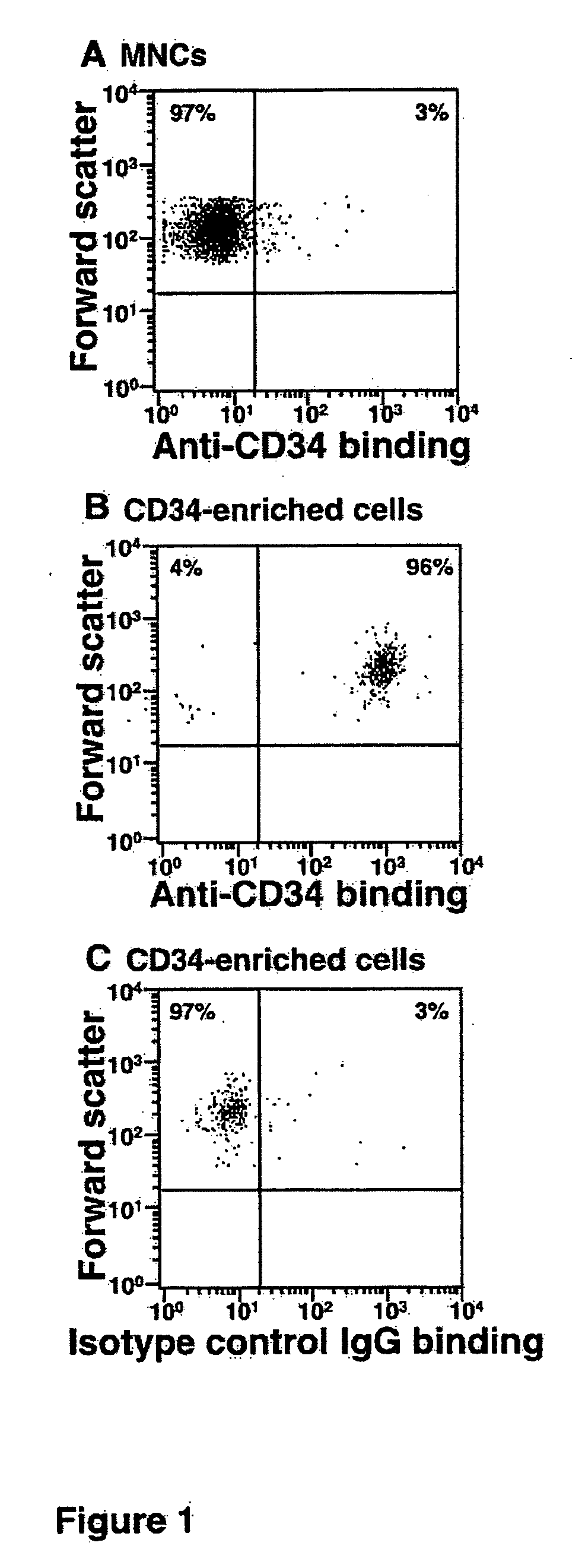 Hematopoietic stem cells treated by in vitro fucosylation and methods of use