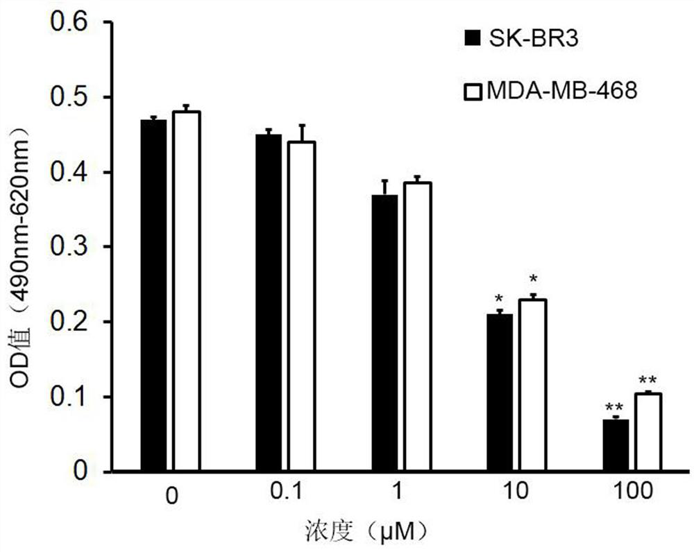 A polypeptide that antagonizes the binding protein of hepatitis B virus X protein, a drug comprising the polypeptide and its application