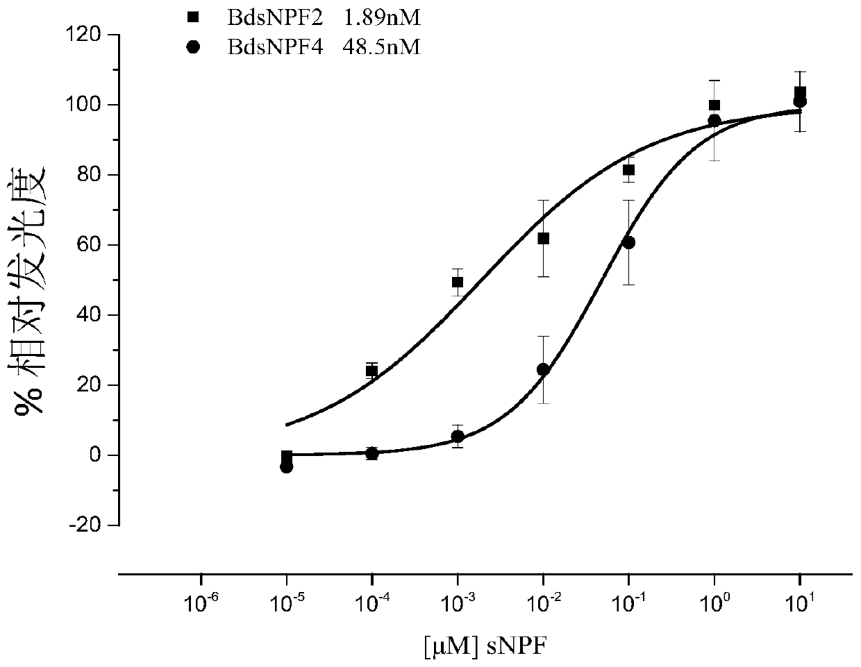 Neuropeptide snpf and its receptor gene and its application in Bactrocera dorsalis specific control agent