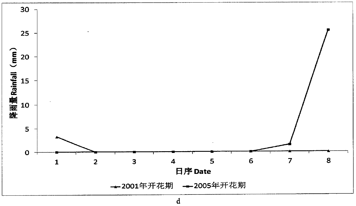 Method for measuring similarity of multivariate meteorological data in phenological period of rice based on form and mixed gradient dynamic time warping