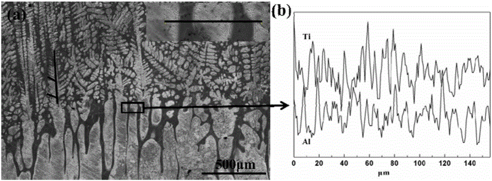 Dual-structure titanium aluminum (TiAl) alloy and preparation method thereof