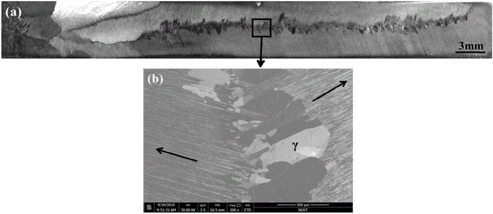 Dual-structure titanium aluminum (TiAl) alloy and preparation method thereof