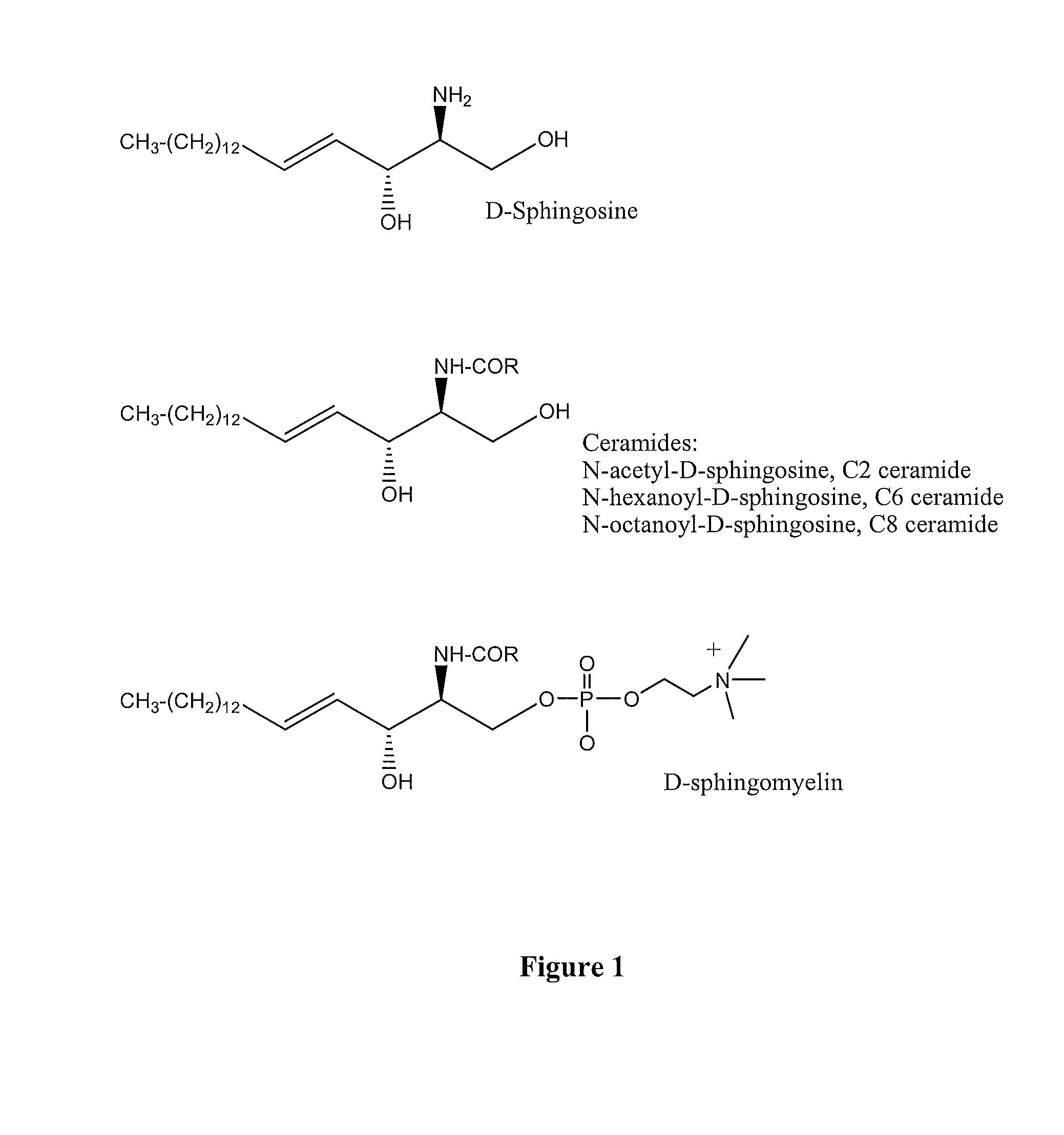 Sphingosine-bound siRNA
