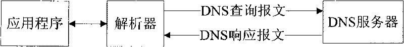 Domain name inquiry method and system