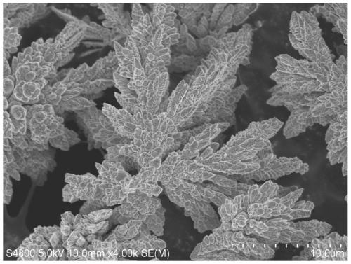 A kind of iron-cobalt alloy microstructure catalyst material, preparation method and application