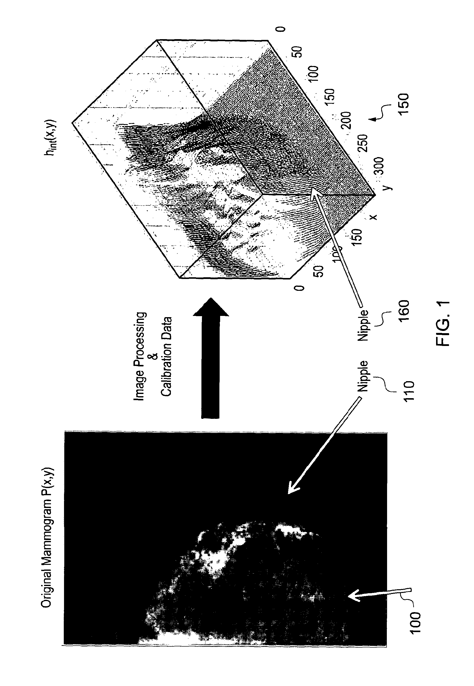 Method and system for analysing tissue from images