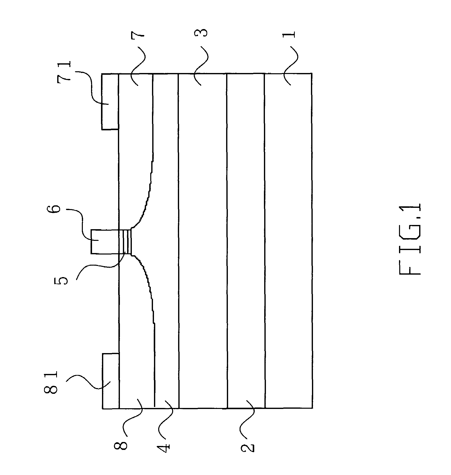 Semiconductor apparatus for white light generation and amplification