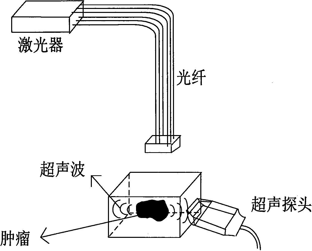 Acoustic velocity correction method for photoacoustic imaging