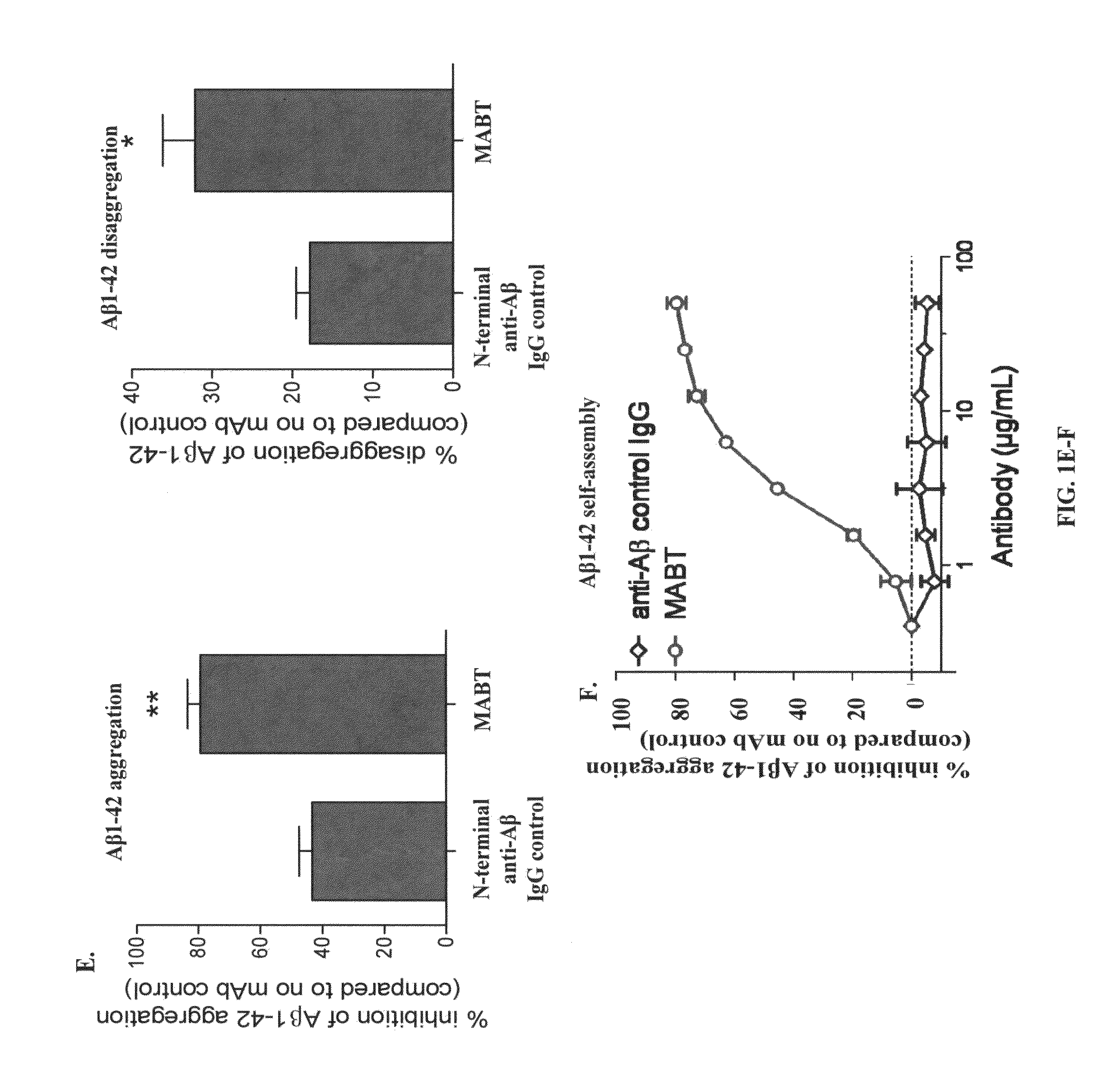 Methods for identifying safe and functional humanized antibodies