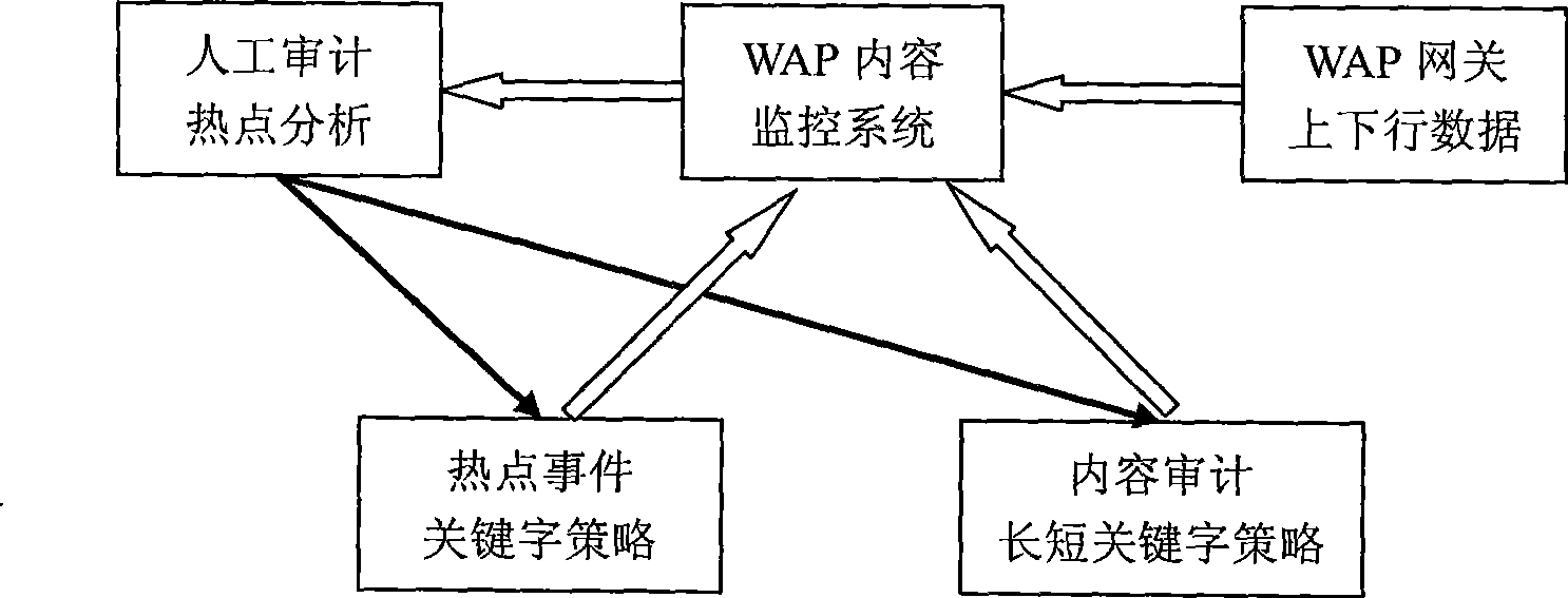 Content monitoring and plugging system and method based on WAP
