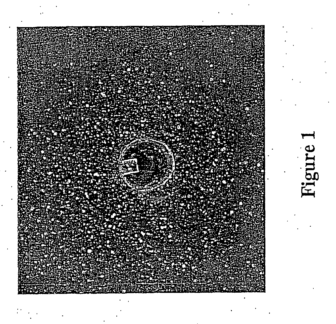 Method for identifying cellular growth inhibitors