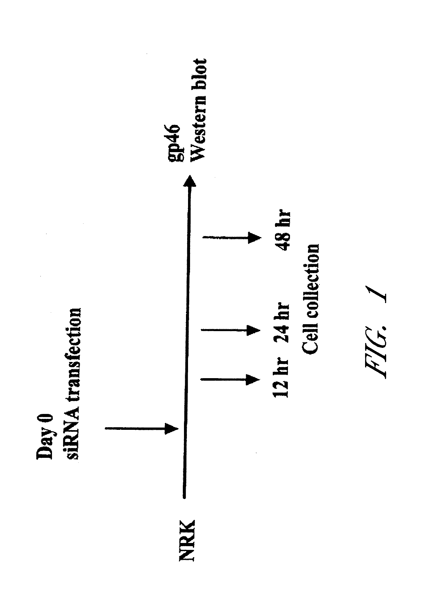 Drug carrier and drug carrier kit for inhibiting fibrosis