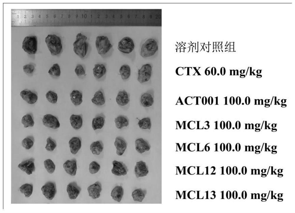 Lactone-containing derivative, its pharmaceutical composition and its preparation method and use