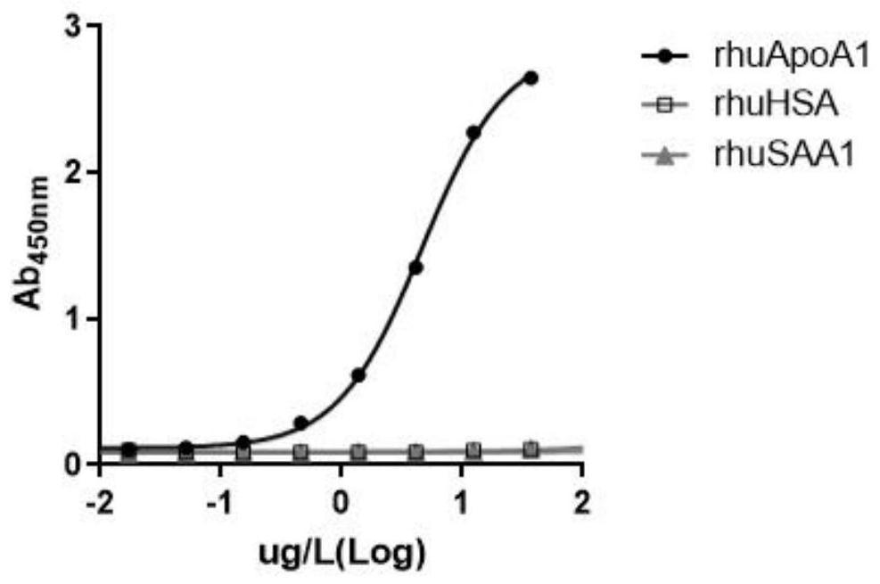 Anti-human ApoA1 monoclonal antibody for identifying HDL subclass in positive correlation with coronary heart disease and preparation and application thereof