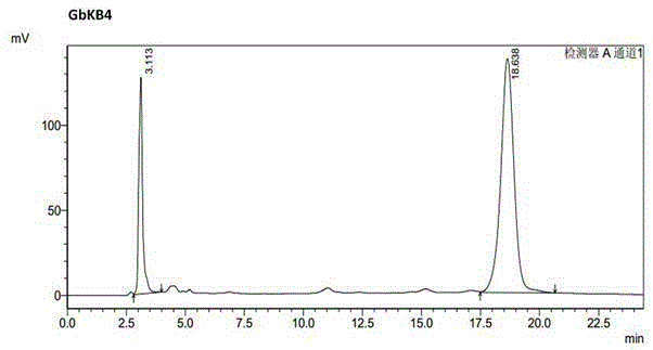 Sisomicin-producing micromonospora purpurea engineering bacterium, and construction and application thereof