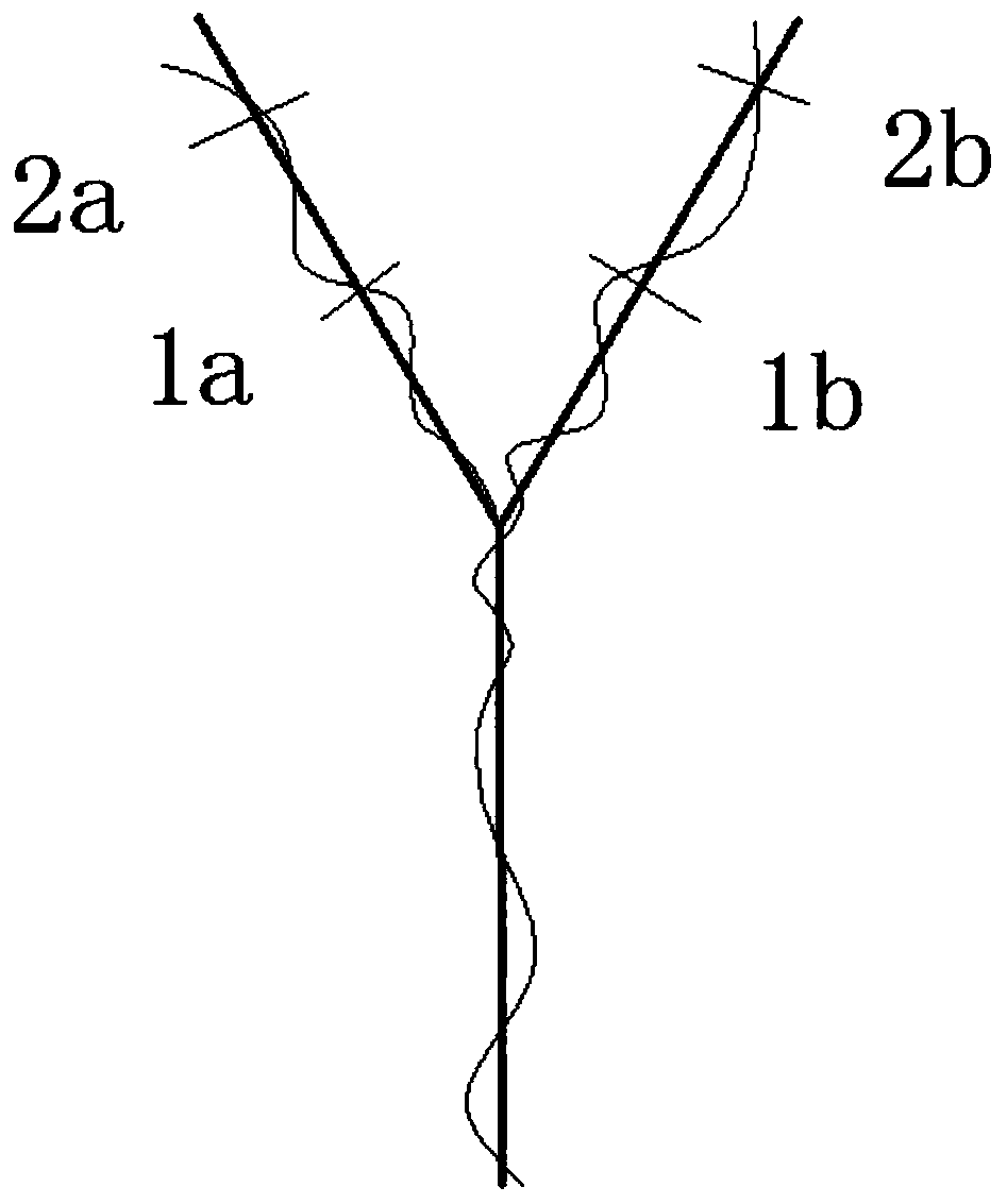 Secondary-fruiting fruit pruning method for harvesting 'Grape No.6' twice a year