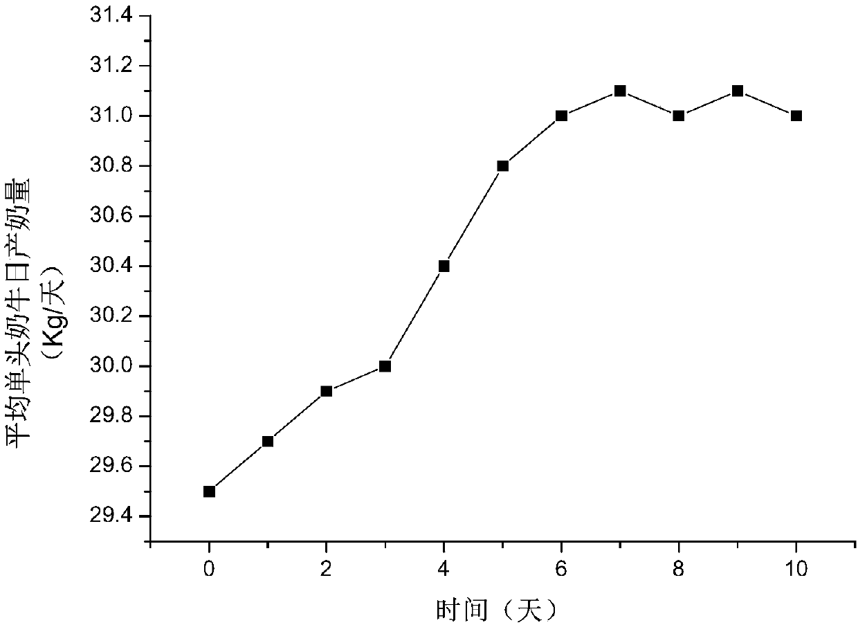 Compound lactic acid bacterium micro-ecology liquid preparation for healthy dairy cow breeding