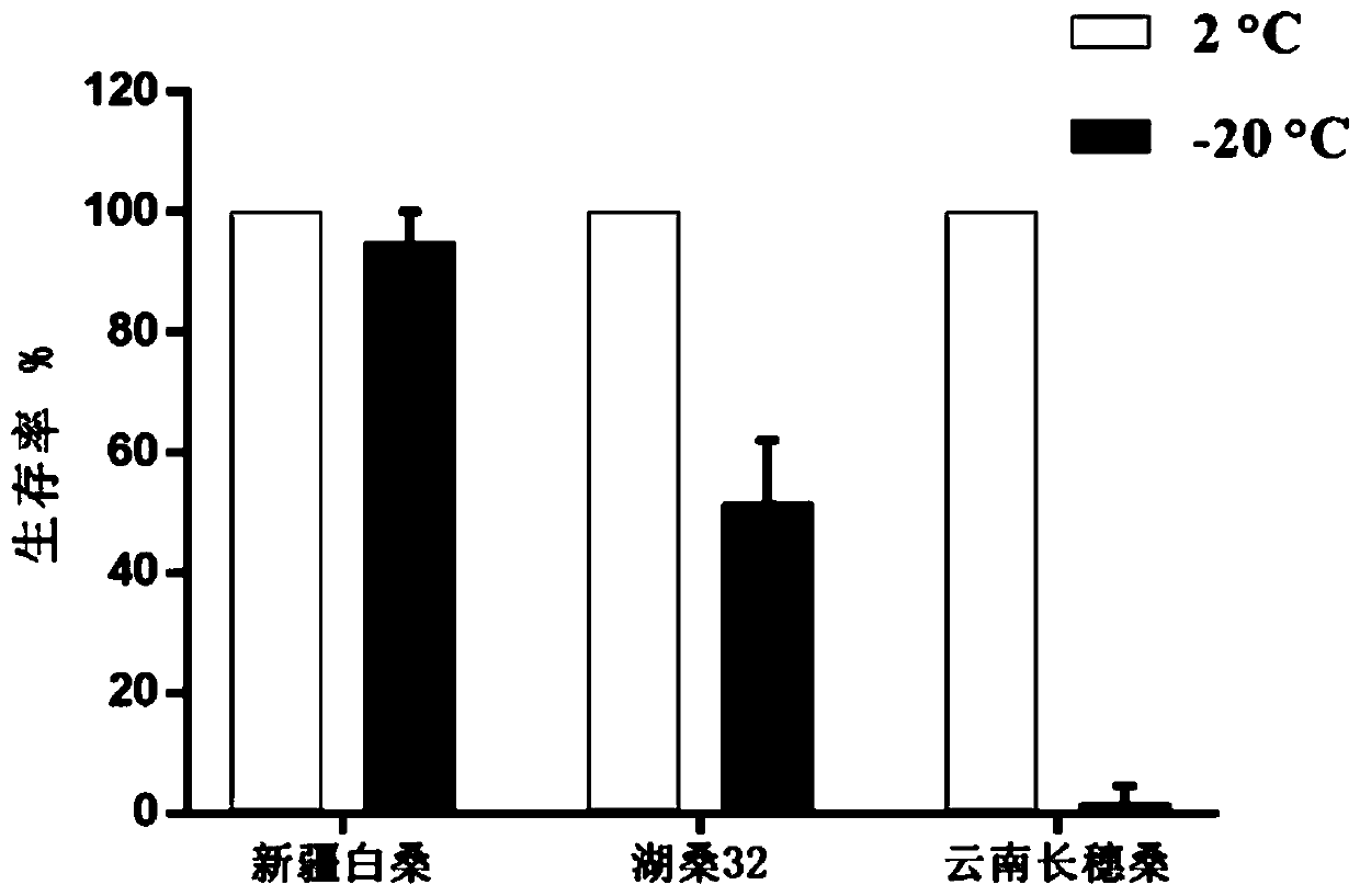 A method for detecting cold resistance of mulberry varieties