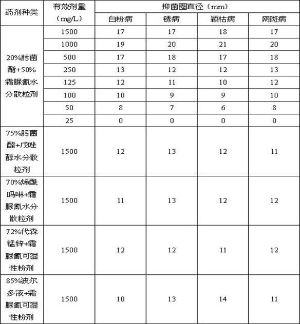 Water dispersible granule formulated by trifloxystrobin and cymoxanil and preparation method thereof