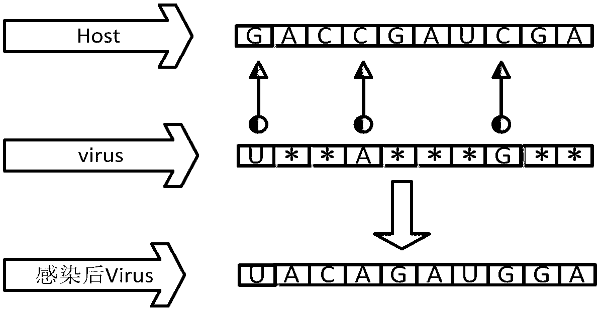 VERNA-genetic algorithm (GA) gasoline concoction optimized dispatching method