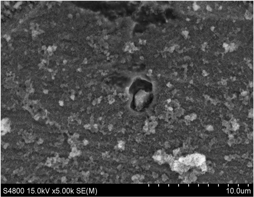 In-situ observation method for morphology of non-metallic inclusions in ultra-pure non-oriented cold-rolled silicon steel